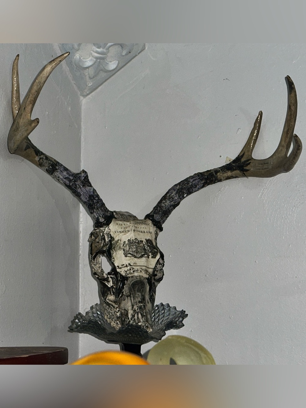 Decorative Antler Skull Wall Art - Black and Ivory